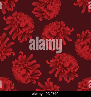 Red Chrysanthemum, Kiku Japanese Flower on Red Background. Vector Illustration. Stock Vector