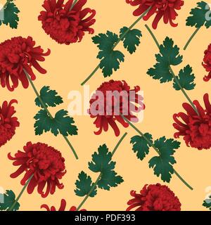 Red Chrysanthemum, Kiku Japanese Flower on Yellow Background. Vector Illustration. Stock Vector