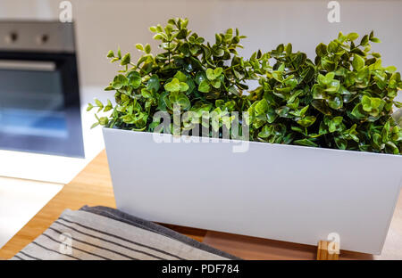 In a ceramic pot decorative home greens. In the kitchen on the stove background. Artificial grass. Interior landscaping. Stock Photo