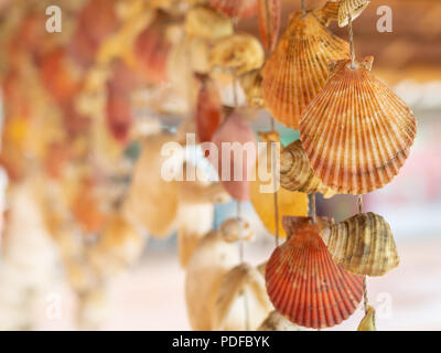 Close-up beautiful colorful of seashells vintage mobile hanging on beach background with space. Stock Photo