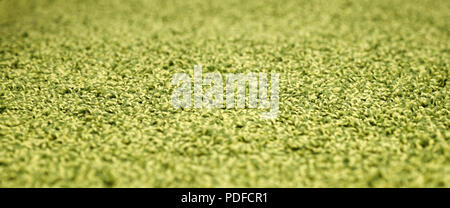 Stack gray bath mats bath mats Stack, stacked on top of each other. Terry mats. Stock Photo