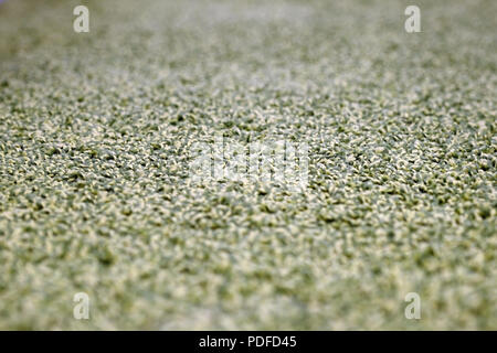 Stack gray bath mats bath mats Stack, stacked on top of each other. Terry mats. Stock Photo