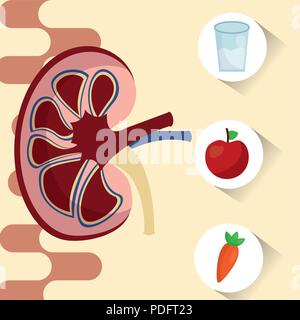 world kidney day Stock Vector