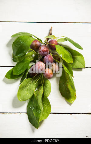 plums on a wooden table Stock Photo