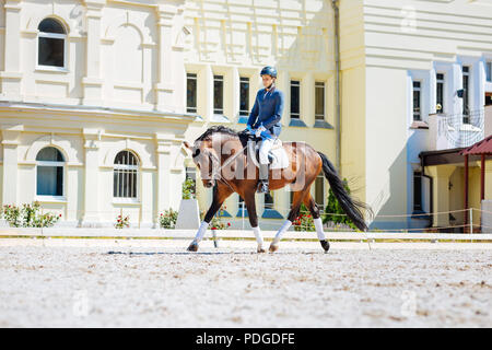 Promising horse man wearing black riding boots sitting on his horse Stock Photo