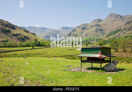 Fields farmland along Great Langdale Valley in summer Lake District National Park Cumbria England UK United Kingdom GB Great Britain Stock Photo