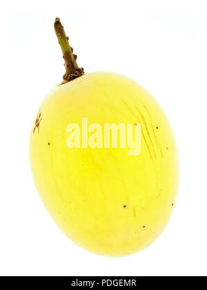 White seedless grape close-up on white background Stock Photo