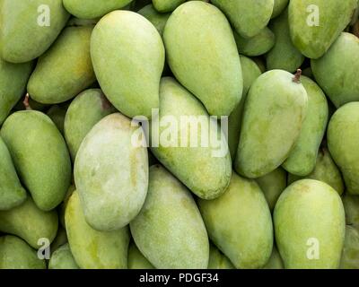 Green mango background Stock Photo