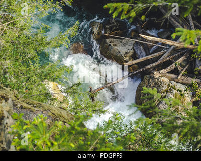 Forest river framed by downed logs and tree branches Stock Photo