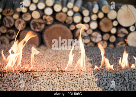 Oak, pine and sunflower pellets in fire in front of pile of wood Stock Photo