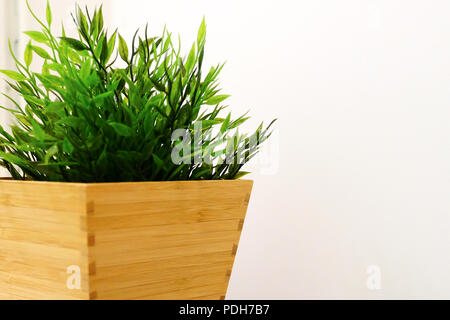 In a wooden box decorative home greens. In the kitchen on the background with. Artificial grass. Interior landscape design. Stock Photo