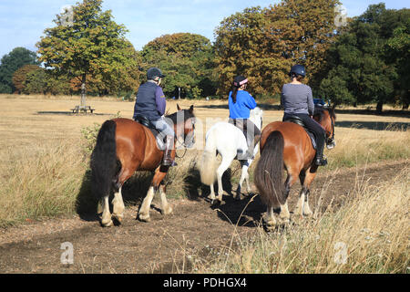 London UK. 10th August 2018. A group of horse riders from the Wimbledon stables riding on Wimbledon Common on a sunny mild morning  a day after rainfall in the capital Credit: amer ghazzal/Alamy Live News Stock Photo