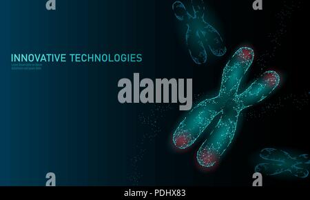 Chromosome DNA structure medicine concept. Low poly polygonal telomere genetic disease aging process. GMO engineering CRISPR Cas9 innovation modern technology science banner vector illustration Stock Vector