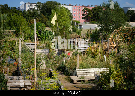 Urban Gardening at Tempelhofer Feld (Flughafen Tempelhof) in Berlin Stock Photo