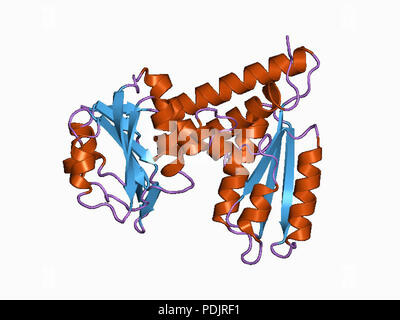 10 PDB 1b0a EBI Stock Photo