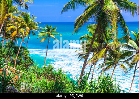 Beautiful beach of Sri Lanka,view with azure sea and palm trees. Stock Photo