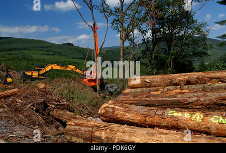 Tree felling forestry operations in Dartmoor national park, Bellever ...