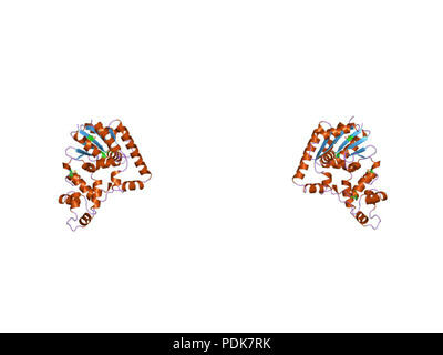 33 PDB 1exn EBI Stock Photo