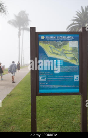 Tsunami alert california newport beach