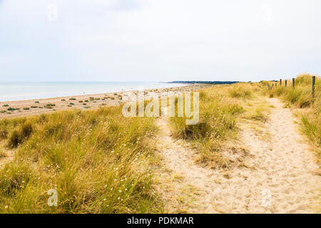 West Beach sand dunes in the Climping Beach SSSI local nature reserve, Littlehampton, a small holiday resort on south coast West Sussex, UK in summer Stock Photo