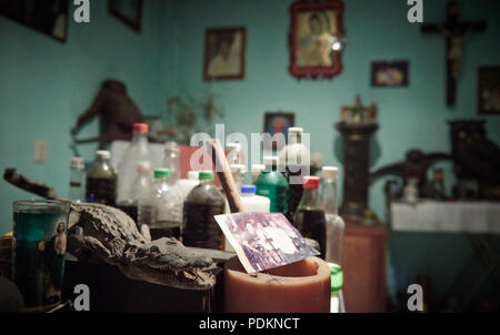 Black magic Brujos or witch doctors, in Catemaco, Veracruz.  Surrounded by dried animals, candles and other objects of black witch craft in Catemaco, Mexico. Stock Photo