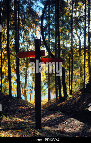 Orange direction signs for hikers in spring pine forest on the background of the lake and sky Stock Photo