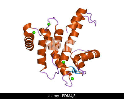 85 PDB 1nx2 EBI Stock Photo