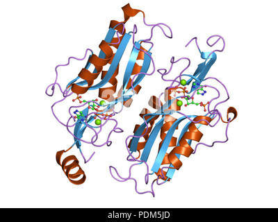 92 PDB 1p18 EBI Stock Photo