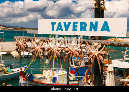 Drying octopus in Chania, Crete, Greece Stock Photo