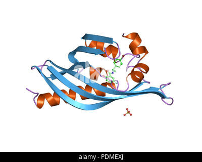 113 PDB 1std EBI Stock Photo