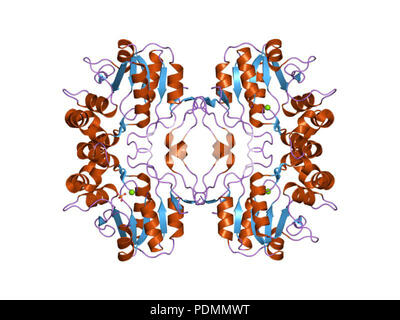 150 PDB 1z5g EBI Stock Photo