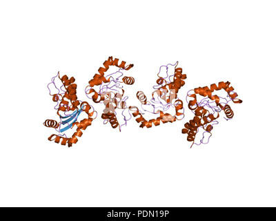 144 PDB 1y67 EBI Stock Photo