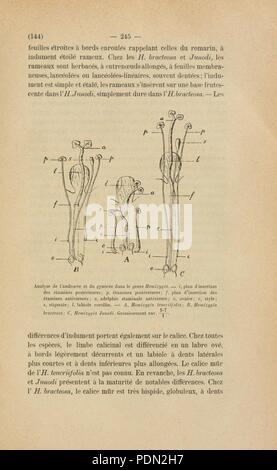 Annuaire du Conservatoire et du jardin botaniques de Genève Stock Photo