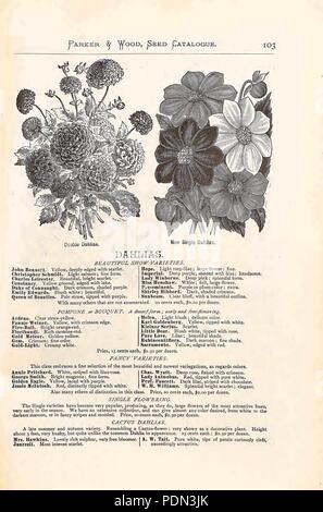 Annual illustrated, descriptive catalogue of seeds, plants, vines, small fruits
