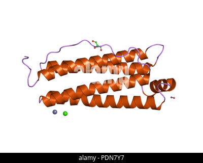 171 PDB 2cn6 EBI Stock Photo