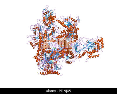 237 PDB 2r92 EBI Stock Photo
