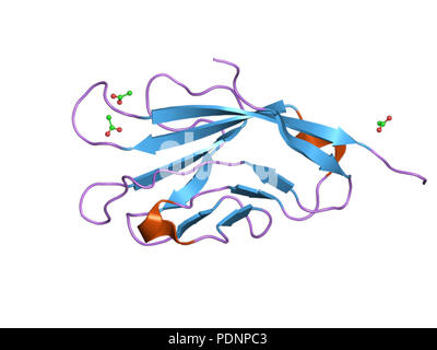 260 PDB 3bi9 EBI Stock Photo
