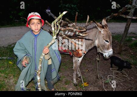 Hauling firewood in Huachumo -El CARMEN DE LA FRONTERA - Ecuador border - Huancabamba. Department  of Piura .PERU                Stock Photo