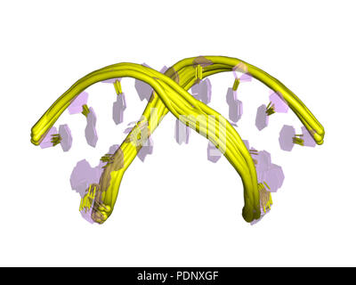 197 PDB 2h49 EBI Stock Photo