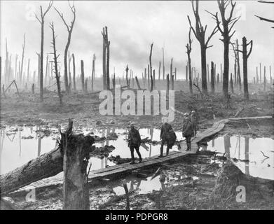 33 Chateau Wood Ypres 1917 Stock Photo