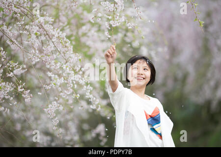 Girl with Cherry blossom Stock Photo