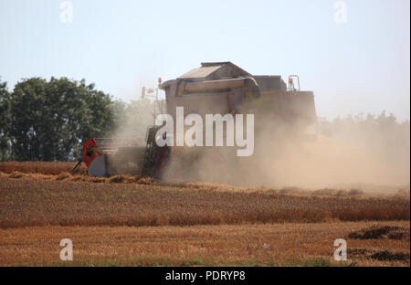 Mähdrescher bei der Weizenernte auf einem trockenen staubigen Feld Stock Photo