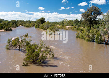 The flooded Einasleigh River during the wet season in the outback of Queensland, Australia. Stock Photo