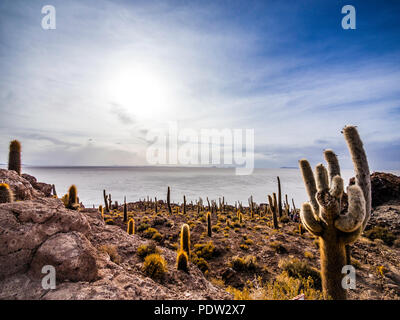 Panoramic scenery of Cactus Island Isla Incahuasi Uyuni Bolivia Stock Photo