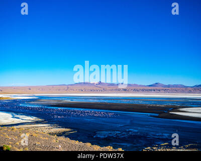 Colourful lagoon and flamingos in Laguna Colorado in Bolivia Stock Photo