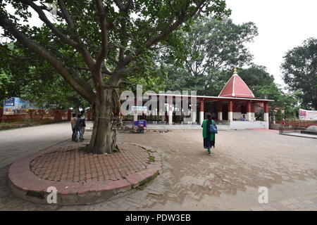 The Kankalitala mandir near Prantik railway station, in the district Birbhum, West Bengal, India. It is one of the Shakti Pitha as the pelvis of Sati  Stock Photo