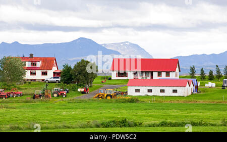 A typical red-roofed Icelandic farm  in a green meadow in south Iceland. Sheep, alfalfa, Icelandic horses, and dairy cattle are the most common things Stock Photo