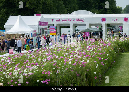 Home time - crowd of people walking towards exit, passing beautiful display of flowering cosmos - RHS Chatsworth Flower Show, Derbyshire, England, UK. Stock Photo