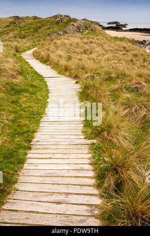 UK, Wales, Anglesey, Newborough, Llanddwyn Island, boardwalk path protecting from erosion Stock Photo