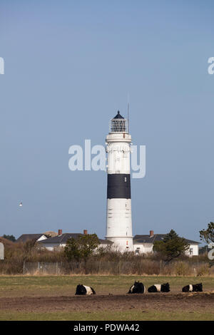Lighthouse, Kampen, Sylt, North Frisian Island, North Frisia, Schleswig-Holstein, Germany, Europe Stock Photo